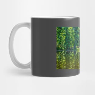 Wason Pond Bridge Mug